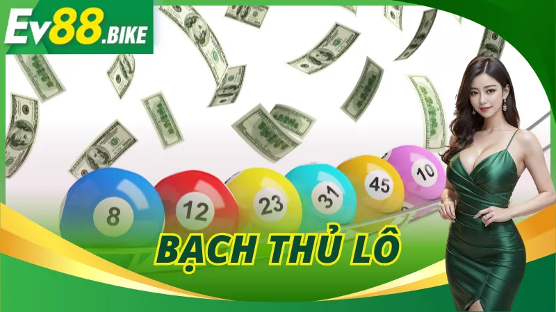 Bạch Thủ Lô